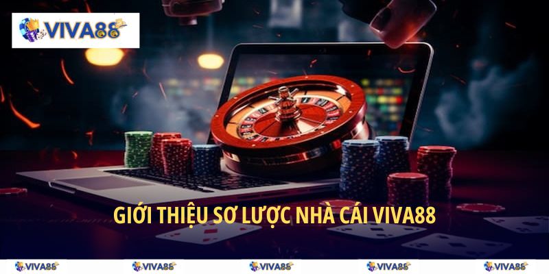 Tìm hiểu sơ lược về nhà cái VIVA88 - thương hiệu giải trí hàng đầu