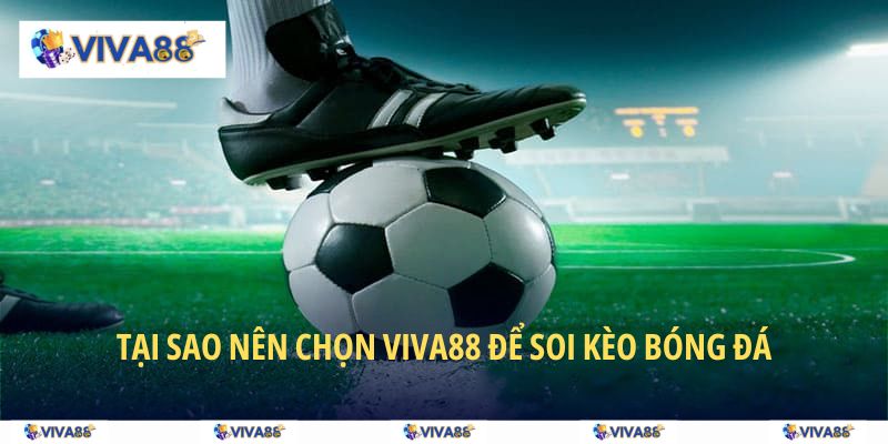 Lý do hội viên chọn VIVA88 để đọc kết quả soi
