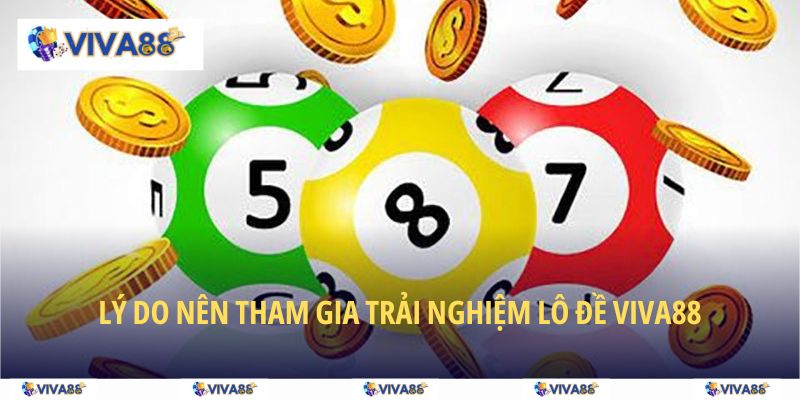 Lý do nên tham gia trải nghiệm lô đề VIVA88