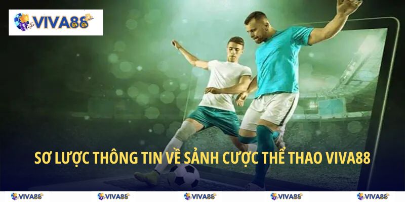 Sơ lược thông tin về sảnh cược thể thao VIVA88